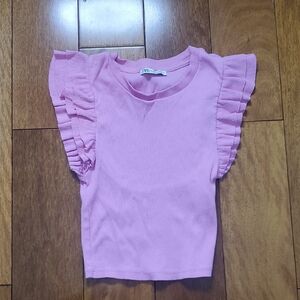 Zara Pink Ruffled Sleeve Top